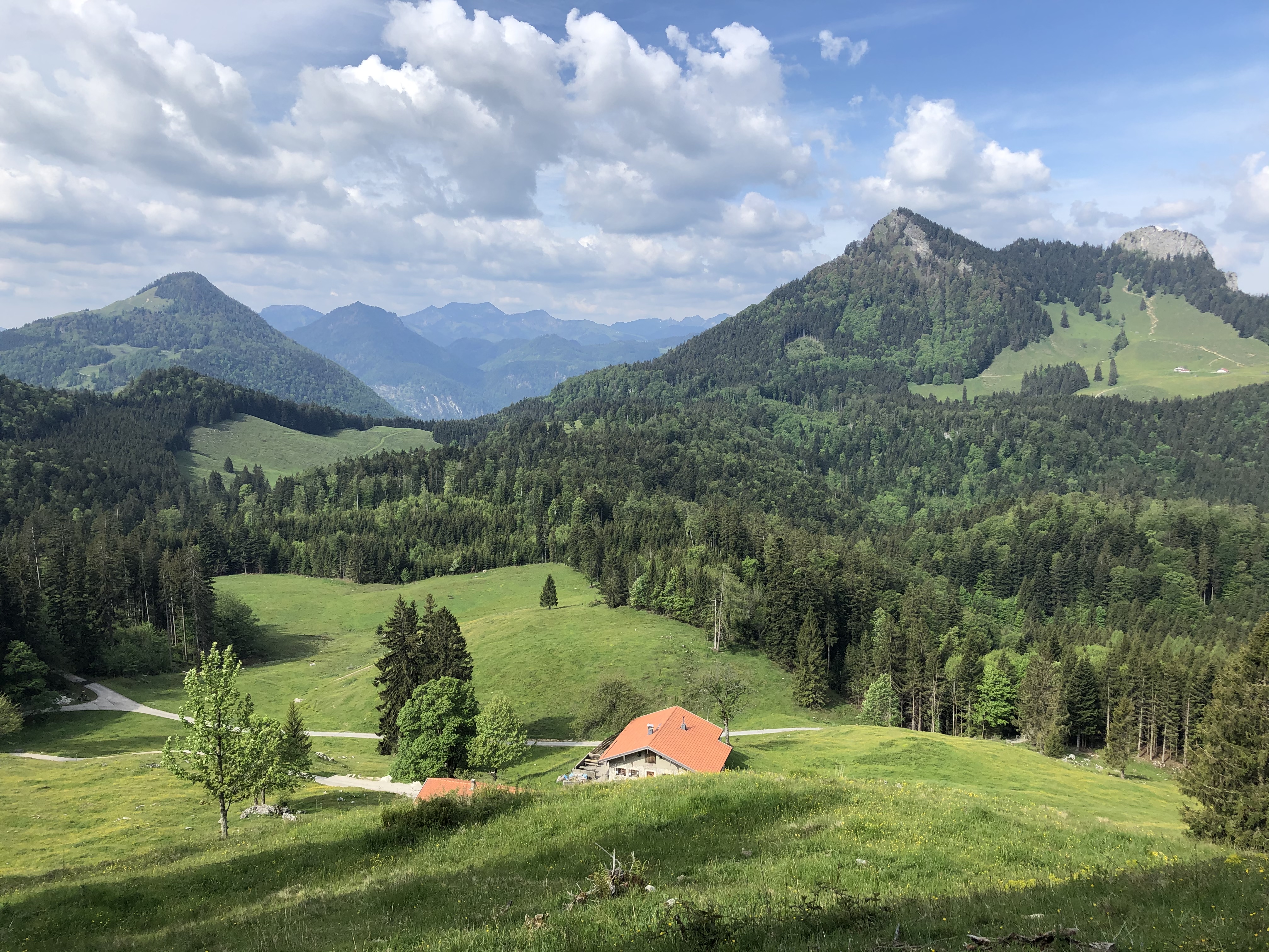 Chiemgauer Alpen