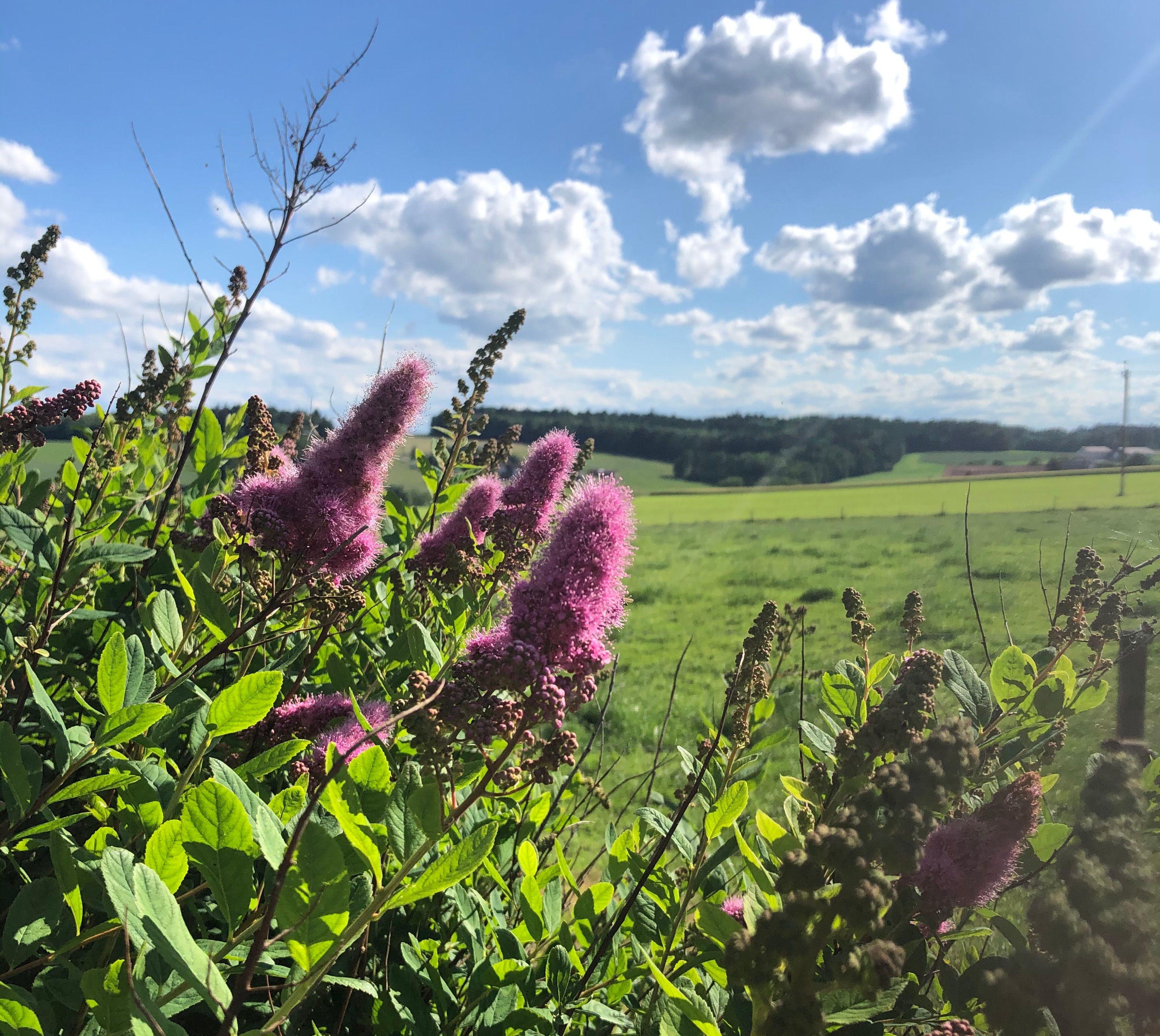 Blauerhimmel am Ferienhof